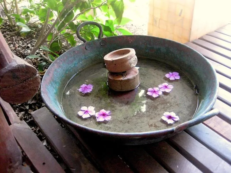 Magic Blue Spa Boutique Hotel Adults Only Playa del Carmen