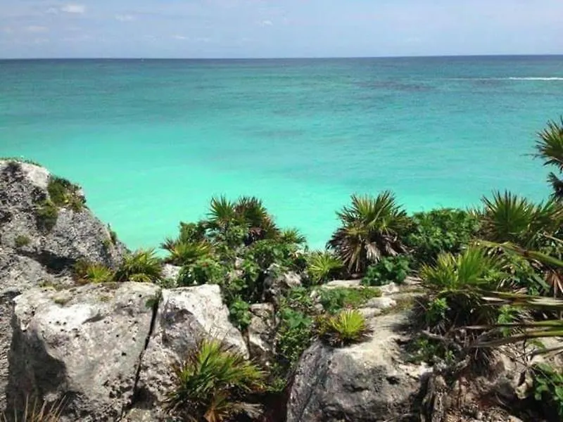 Magic Blue Spa Boutique Hotel Adults Only Playa del Carmen
